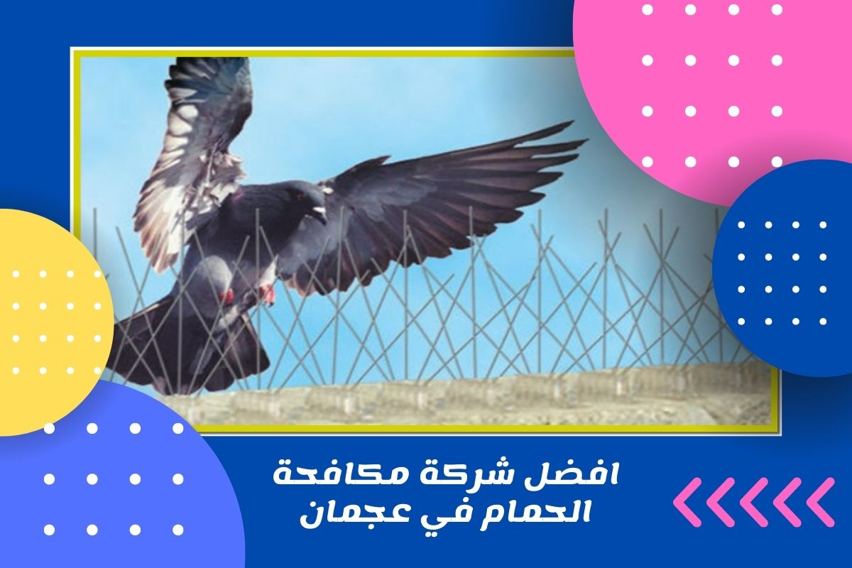 افضل شركة مكافحة الحمام في عجمان