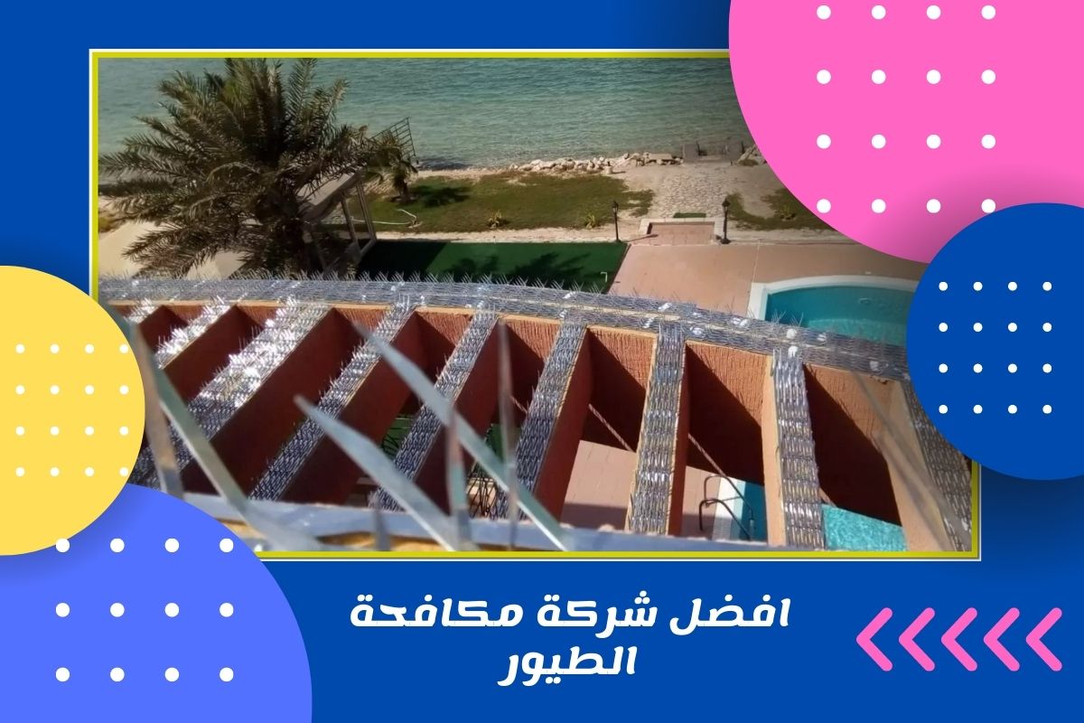 افضل شركة مكافحة الطيور