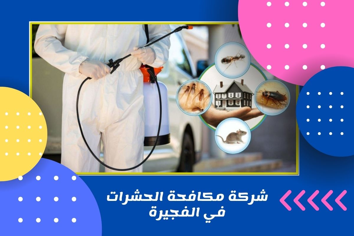 شركة مكافحة الحشرات في الفجيرة