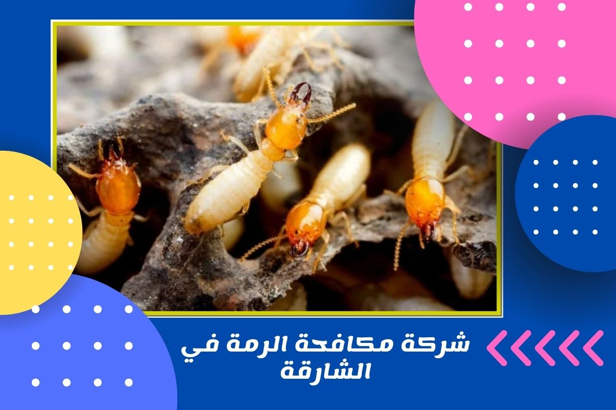 شركة مكافحة الرمة في الشارقة