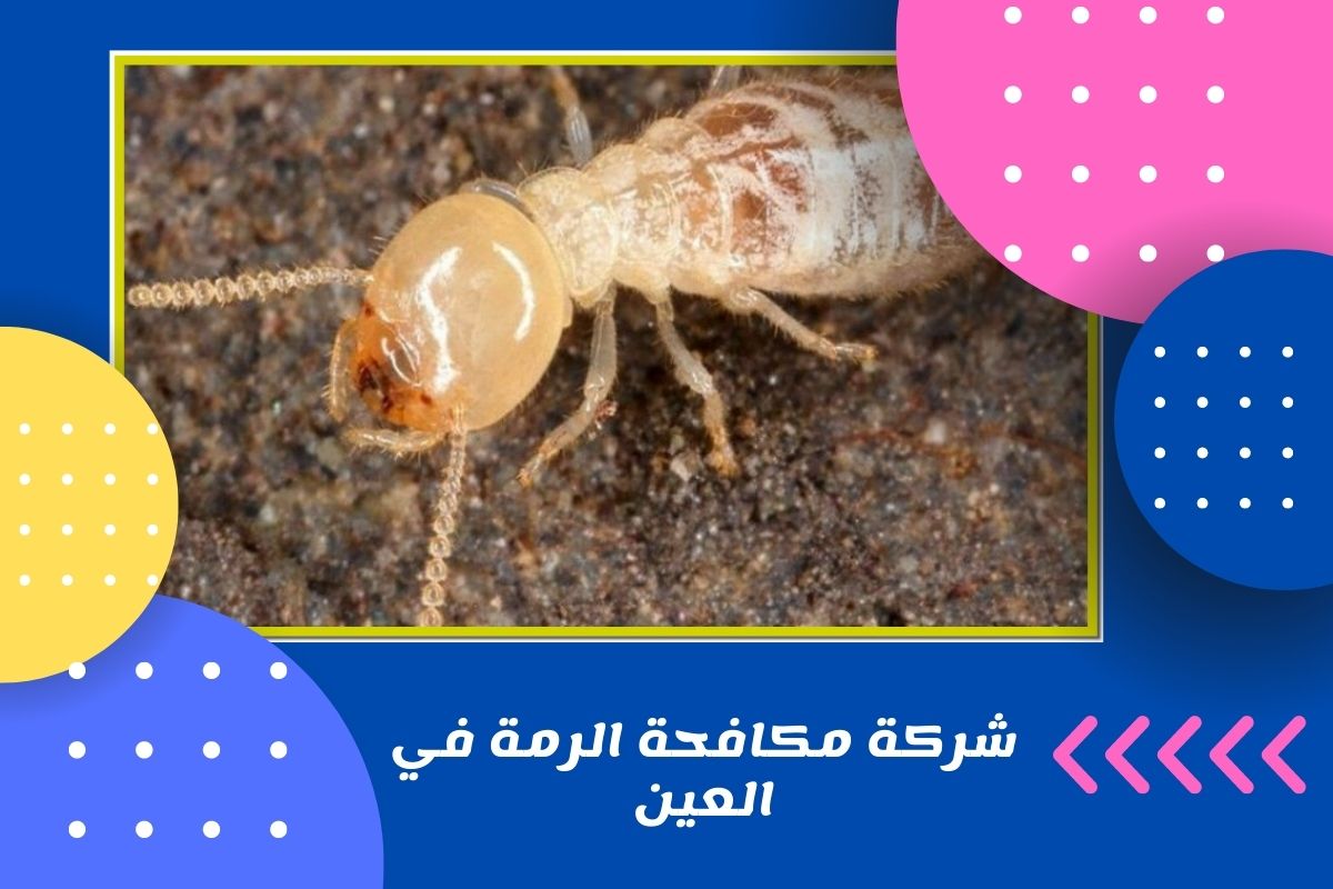 شركة مكافحة الرمة في العين