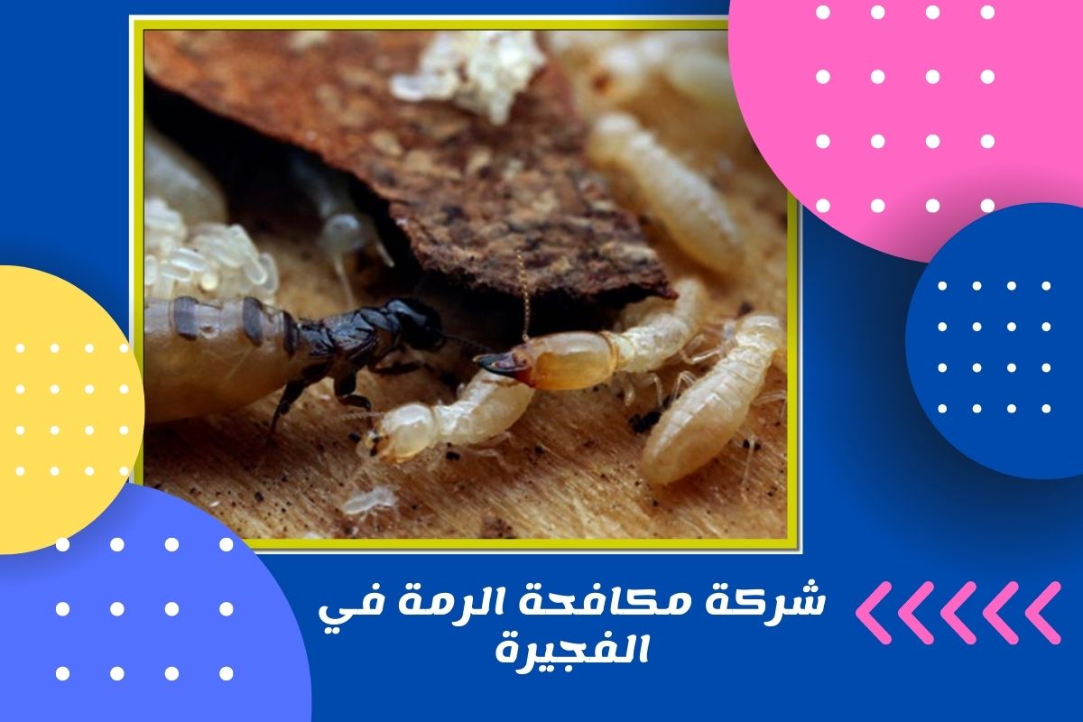 شركة مكافحة الرمة في الفجيرة