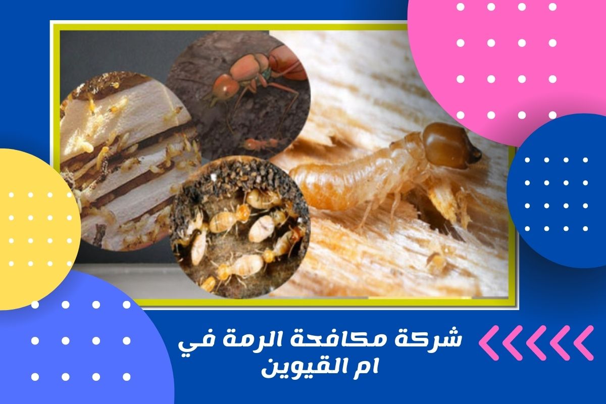 شركة مكافحة الرمة في ام القيوين