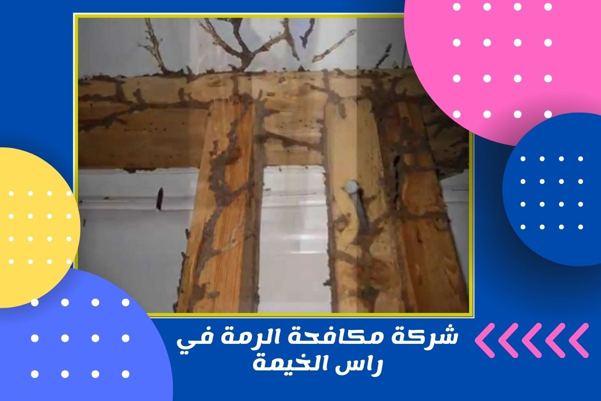 شركة مكافحة الرمة في راس الخيمة