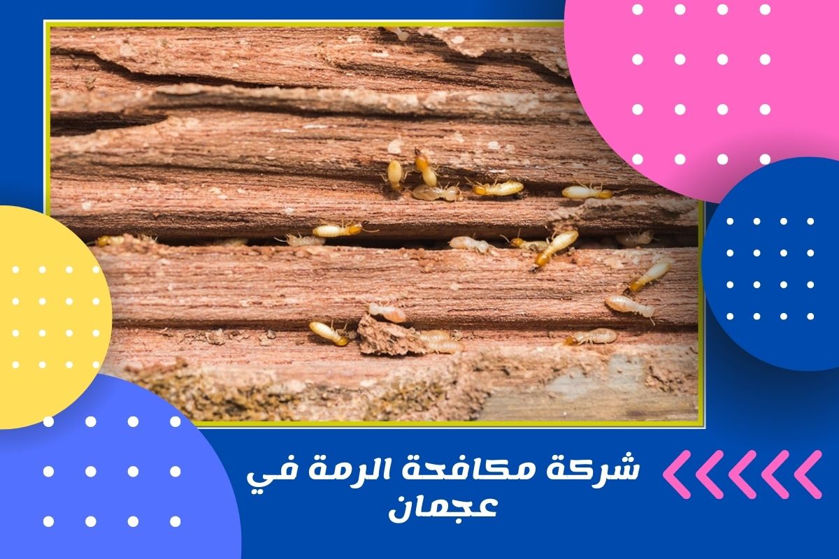 شركة مكافحة الرمة في عجمان