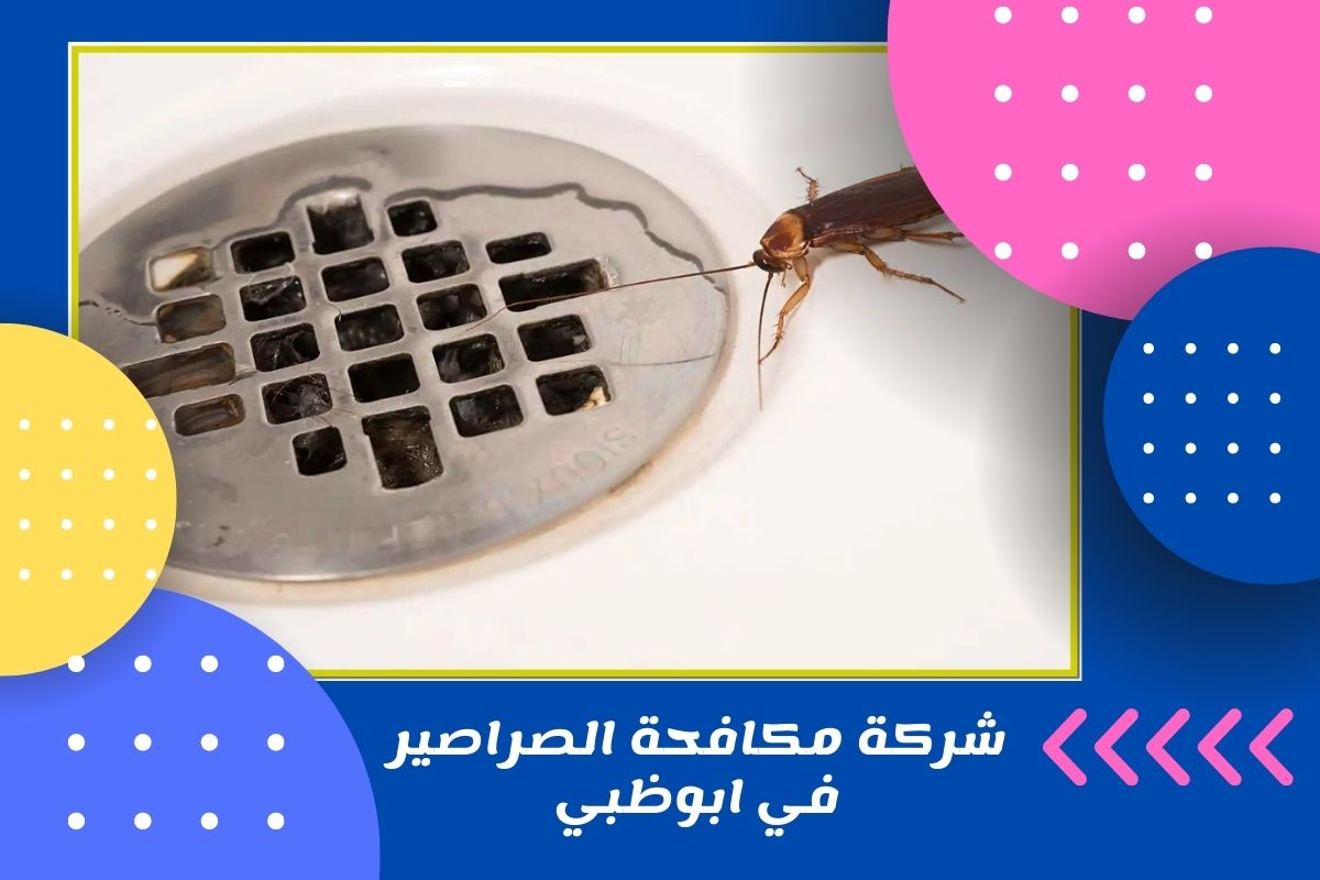 شركة مكافحة الصراصير في ابوظبي