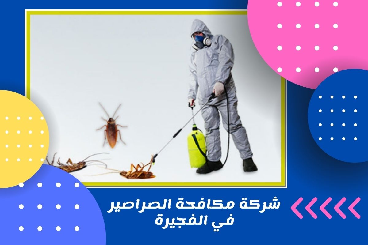 شركة مكافحة الصراصير في الفجيرة