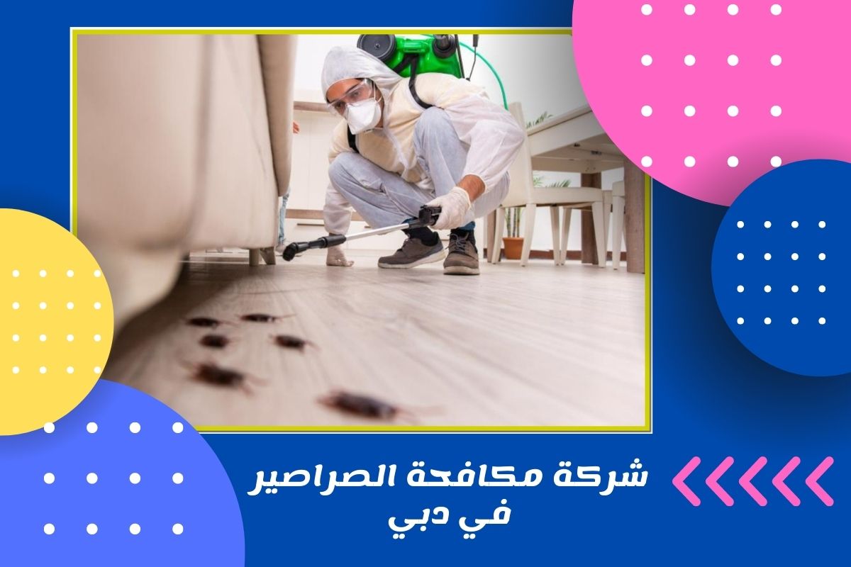 شركة مكافحة الصراصير في دبي