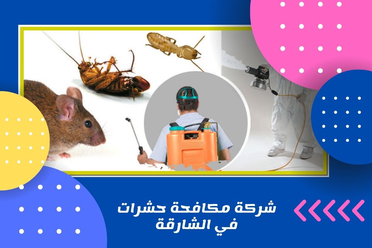 شركة مكافحة حشرات في الشارقة