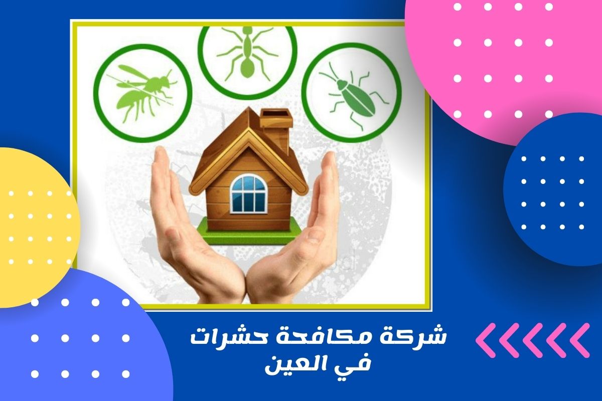 شركة مكافحة حشرات في العين