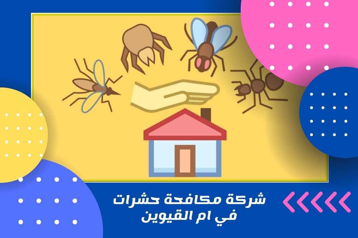 شركة مكافحة حشرات في ام القيوين