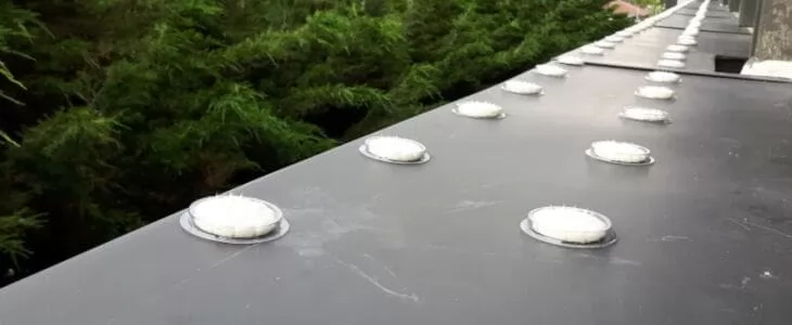 استخدام جل طارد الحمام