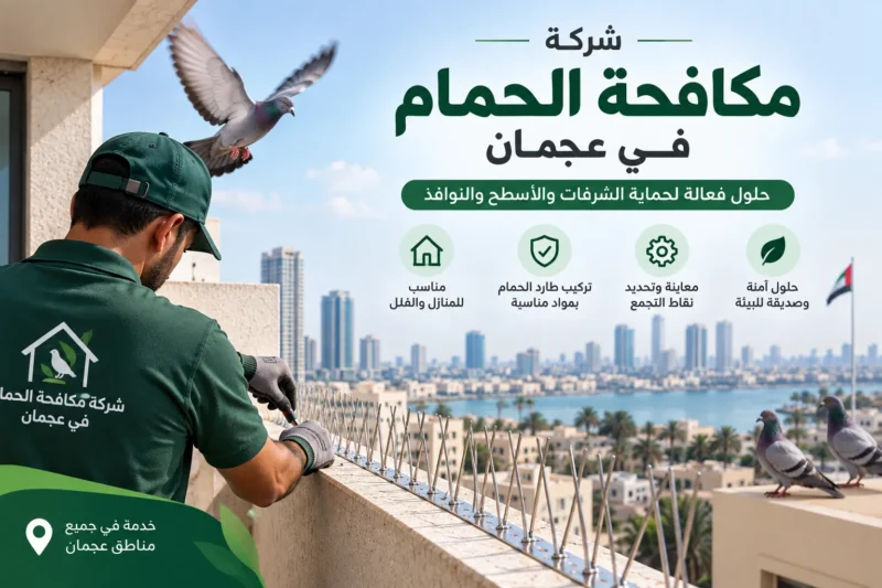 شركة مكافحة الحمام في عجمان