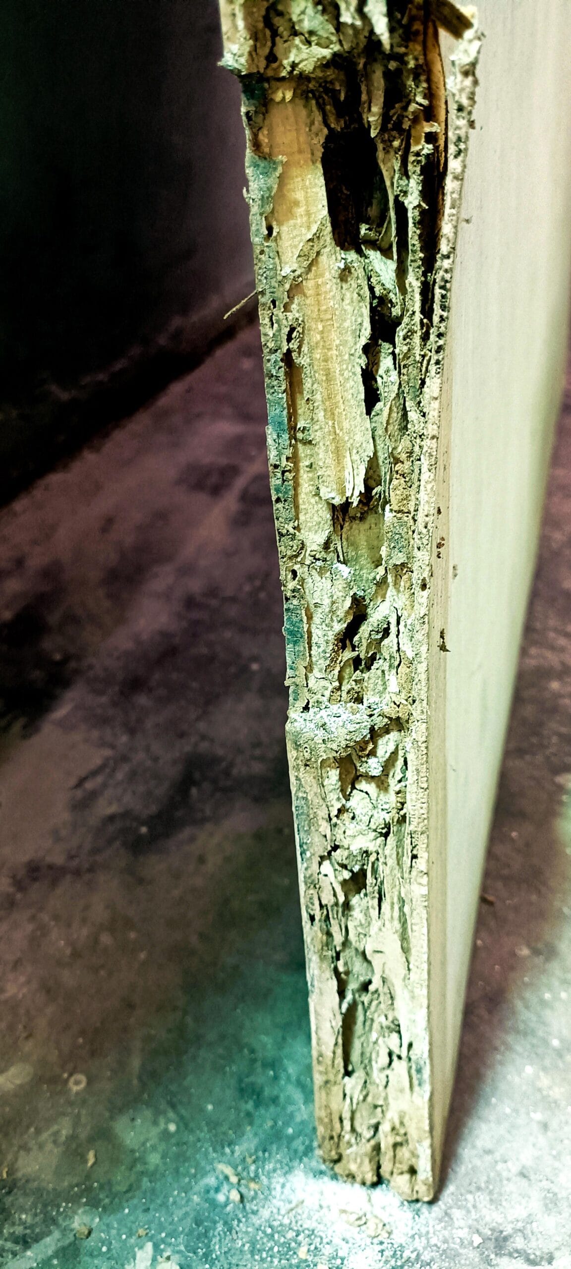 Iu5jquKRXJWXkBLJNwaEXw1rDzMVjvSgODFcu2RuJljZa6EQzzGUtvE8L yenyJrlq0NjXvZYRjdP2ynIYxjcIe OnopIMbquWdgYzIX1HA scaled