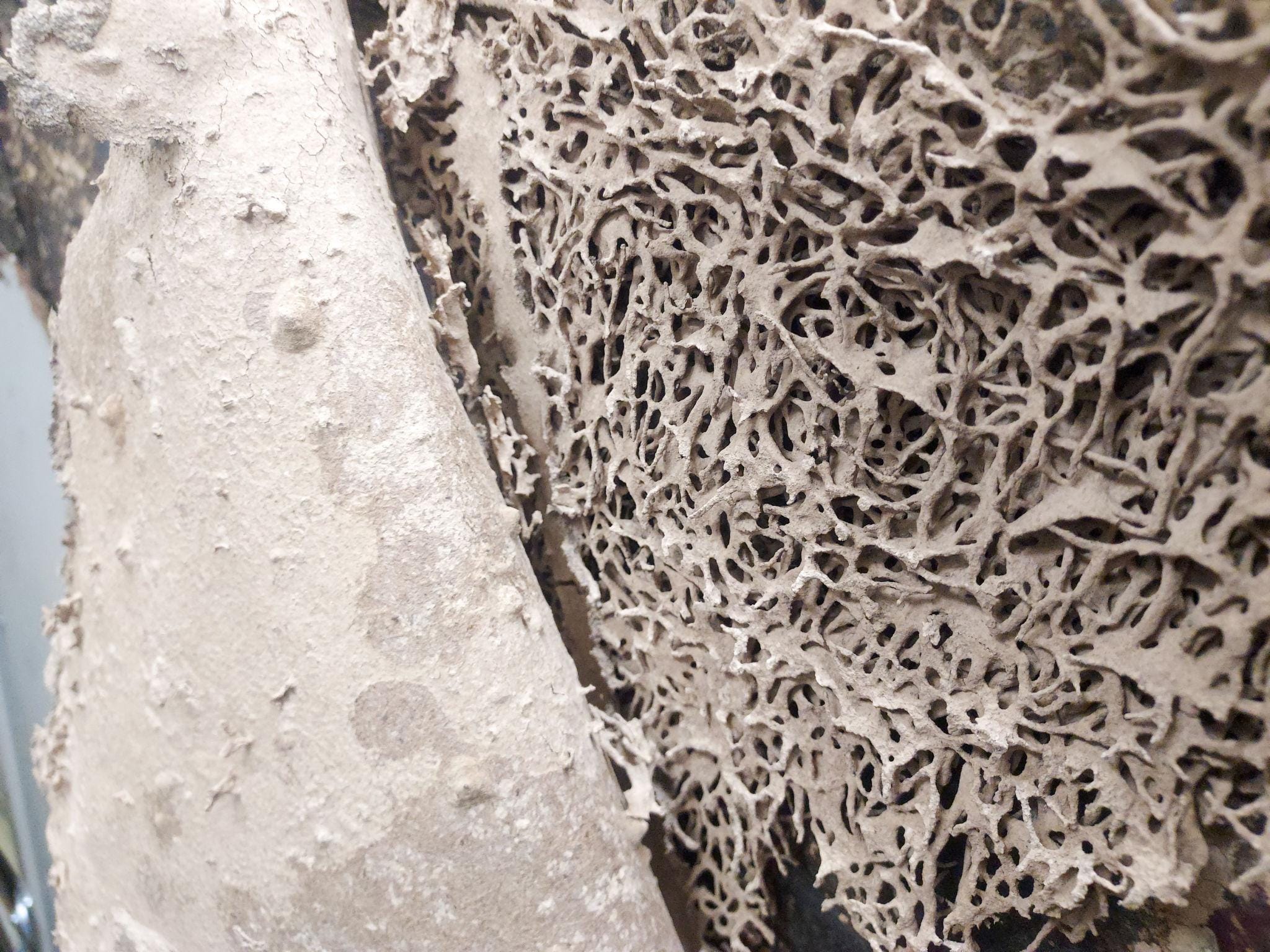 dUPv2SFkEny9UHfOQ5zGeq2Co ogssaChugLJxmuMHDgbds7c2AVm8lU3XqP7N9NrIgeW4UHCAoQZ3KrF