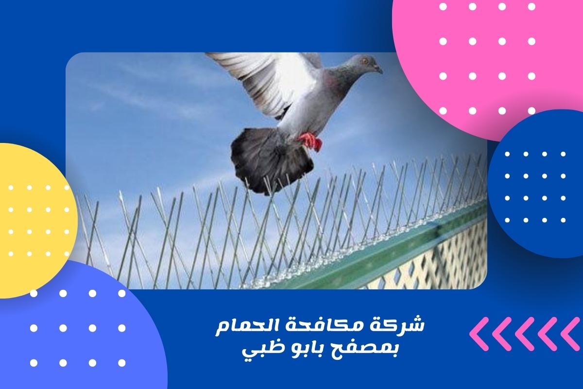 شركة مكافحة الحمام بمصفح بابو ظبي