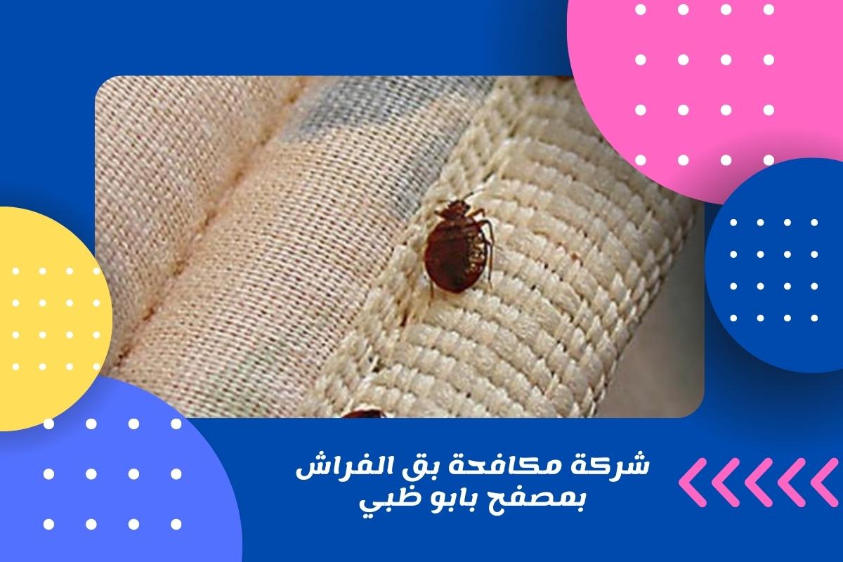 شركة مكافحة بق الفراش بمصفح بابو ظبي