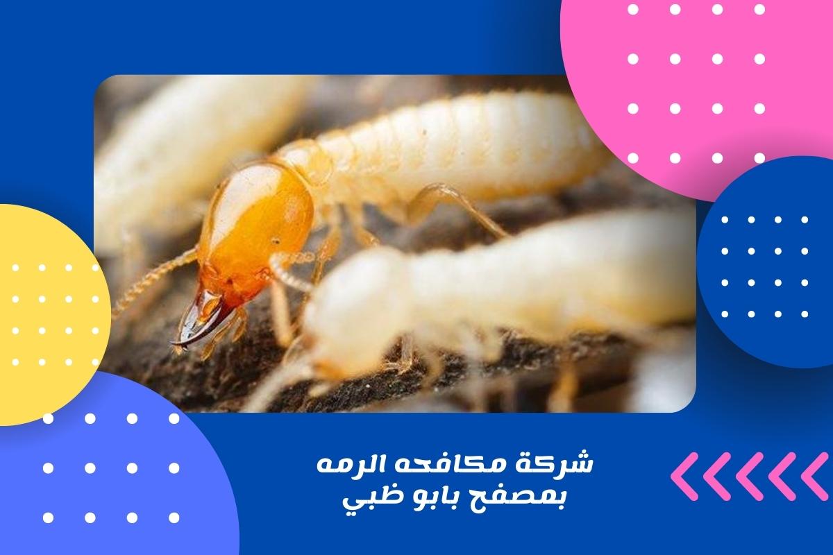 شركة مكافحه الرمه بمصفح بابو ظبي