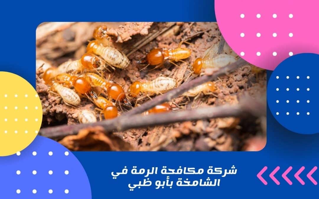 شركة مكافحة الرمة في الشامخة بأبو ظبي