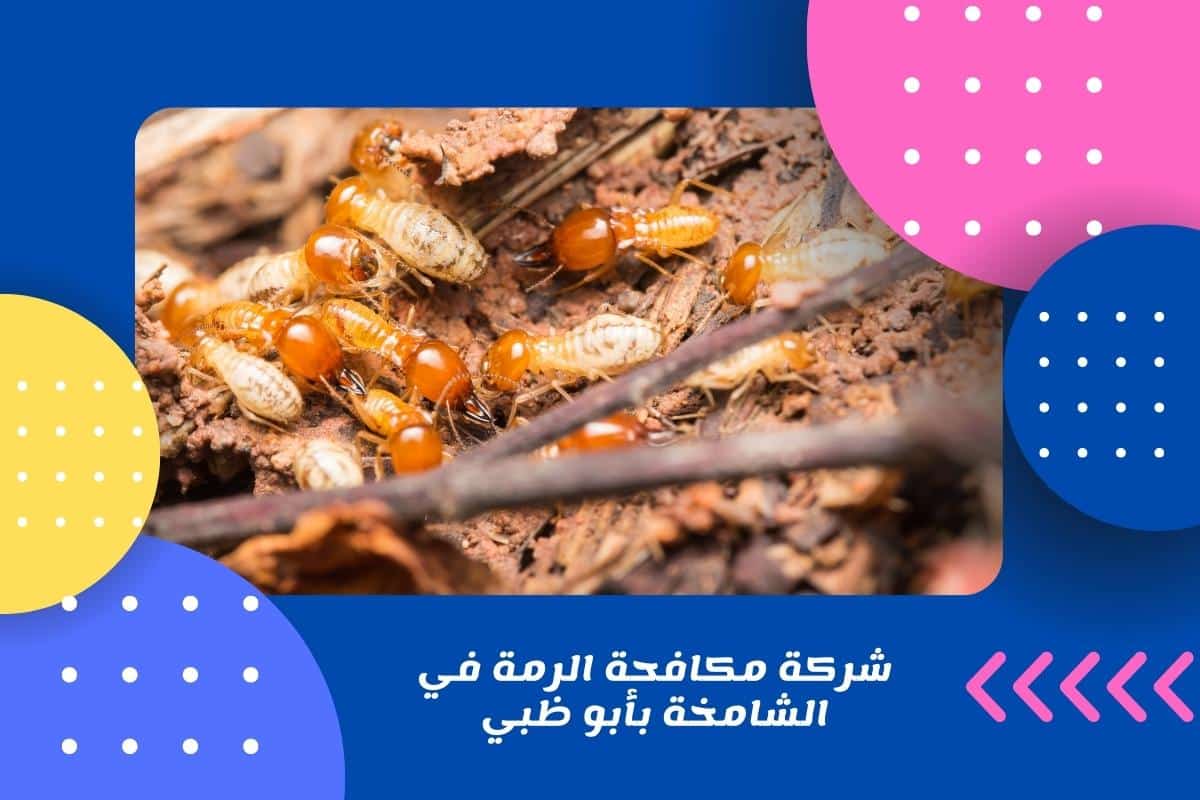شركة مكافحة الرمة في الشامخة بأبو ظبي