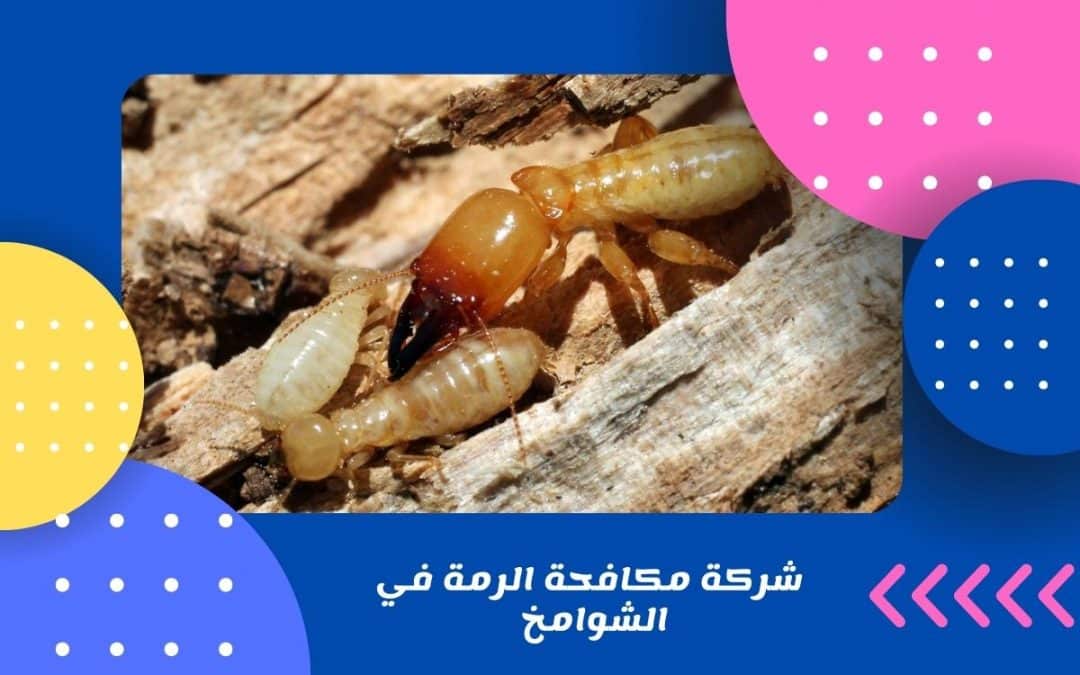 شركة مكافحة الرمة في الشوامخ