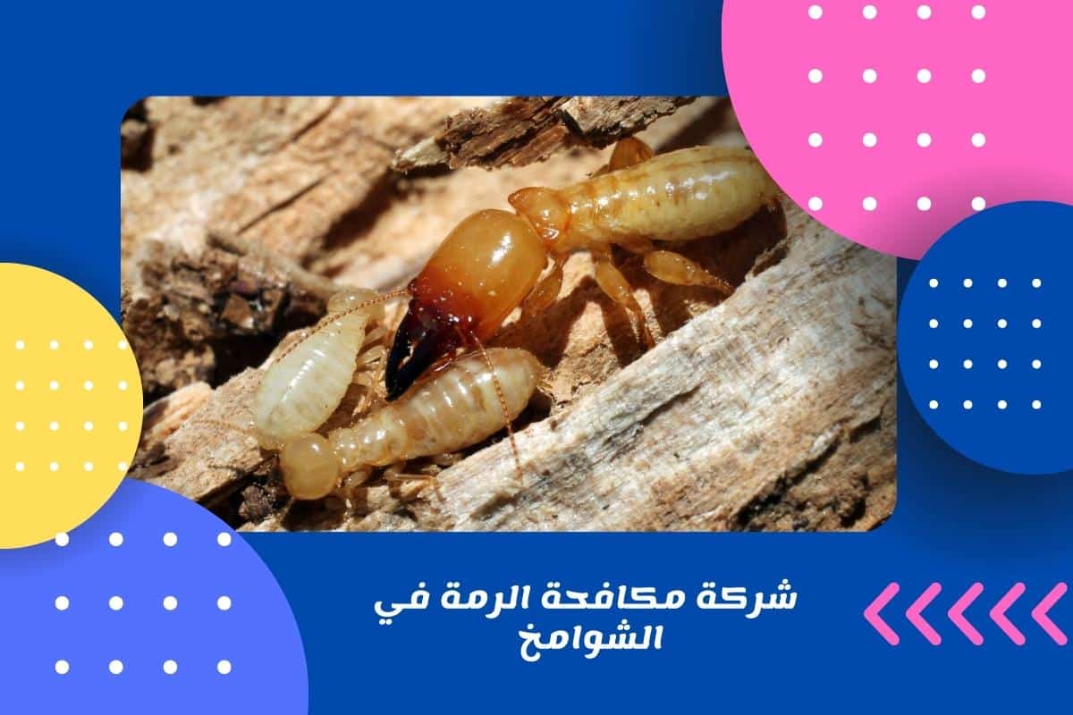 شركة مكافحة الرمة في الشوامخ