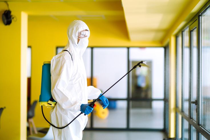 شركة رش مبيدات في الشارقة