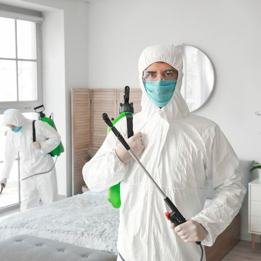 مكافحة الصراصير في الشارقة