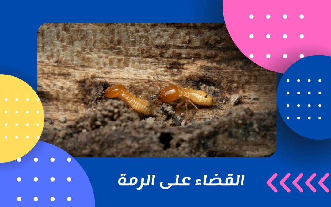 القضاء على الرمة