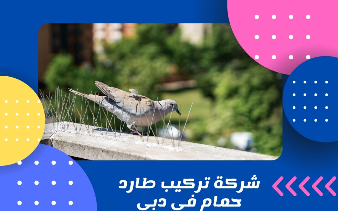 شركة تركيب طارد حمام في دبي