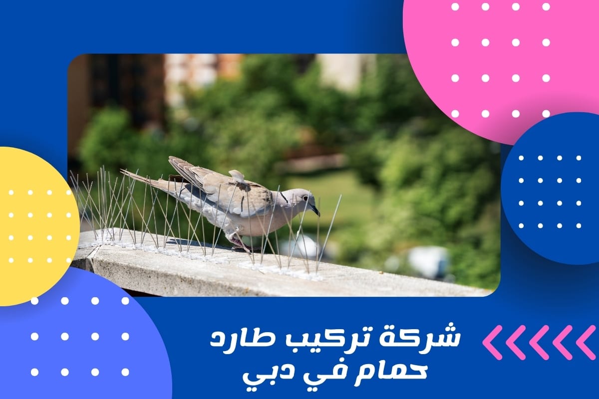 شركة تركيب طارد حمام في دبي