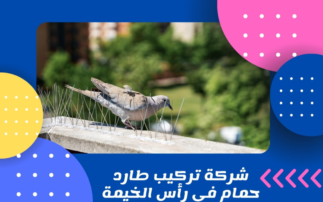 شركة تركيب طارد حمام في رأس الخيمة