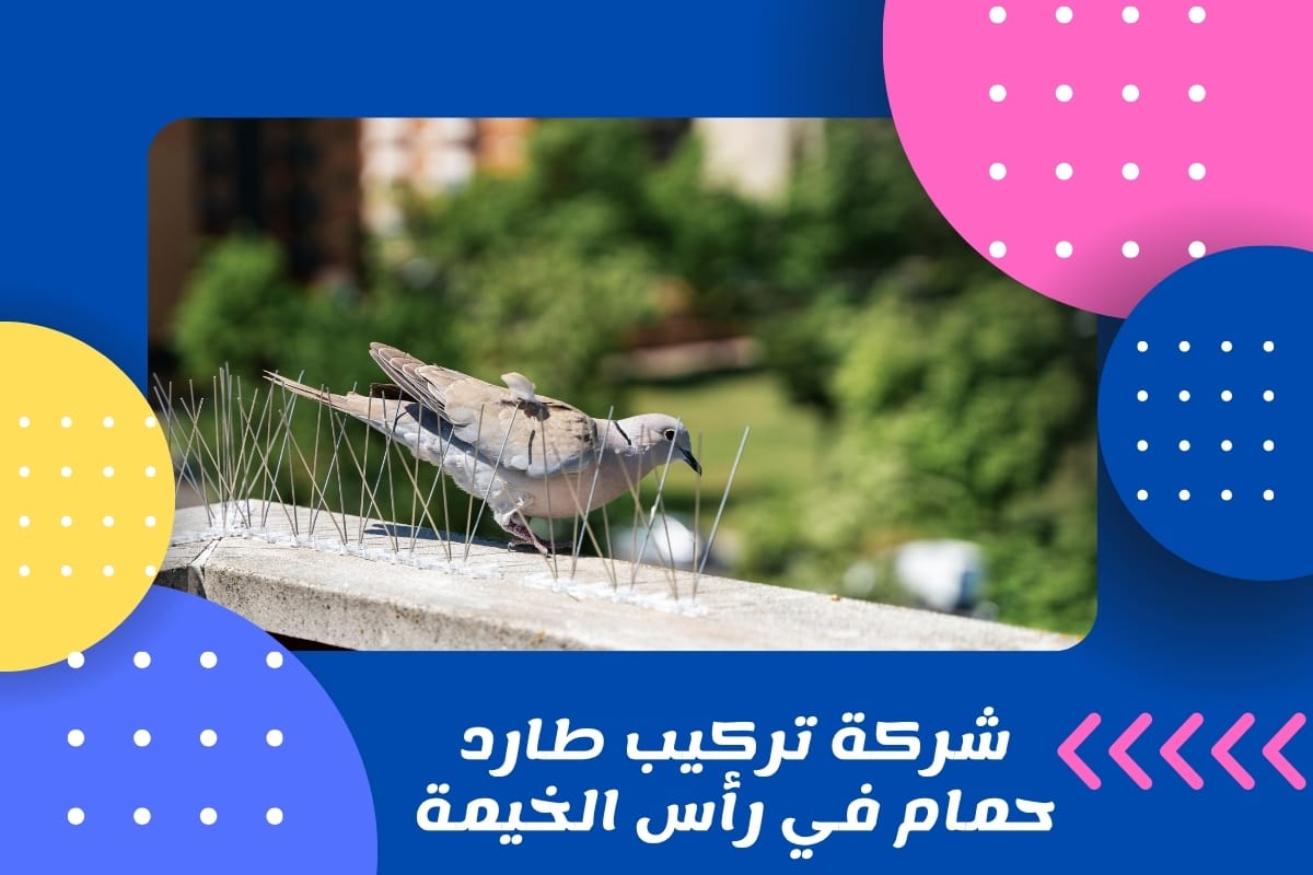 شركة تركيب طارد حمام في رأس الخيمة