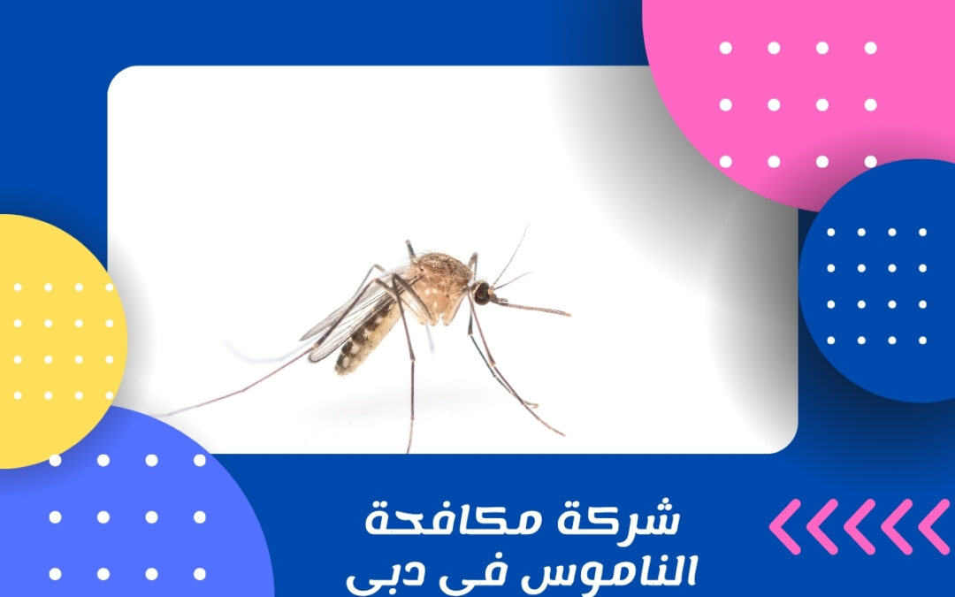 شركة مكافحة الناموس في دبي
