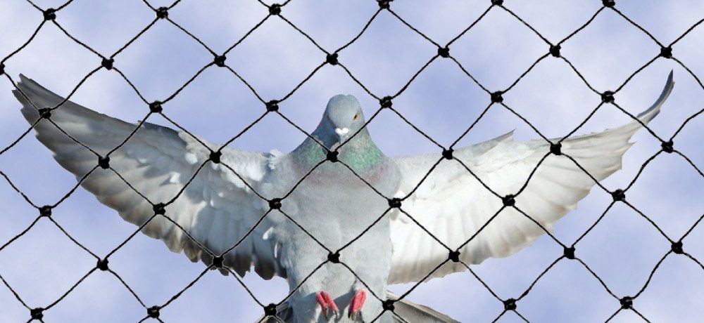 شركه طارد حمام في رأس الخيمة