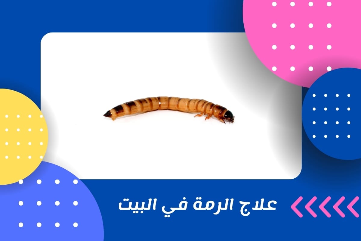 علاج الرمة في البيت