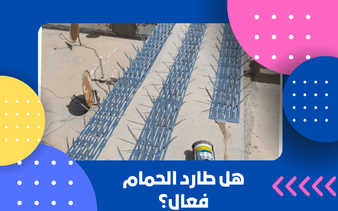 هل طارد الحمام فعال؟