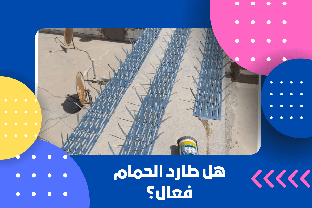 هل طارد الحمام فعال؟