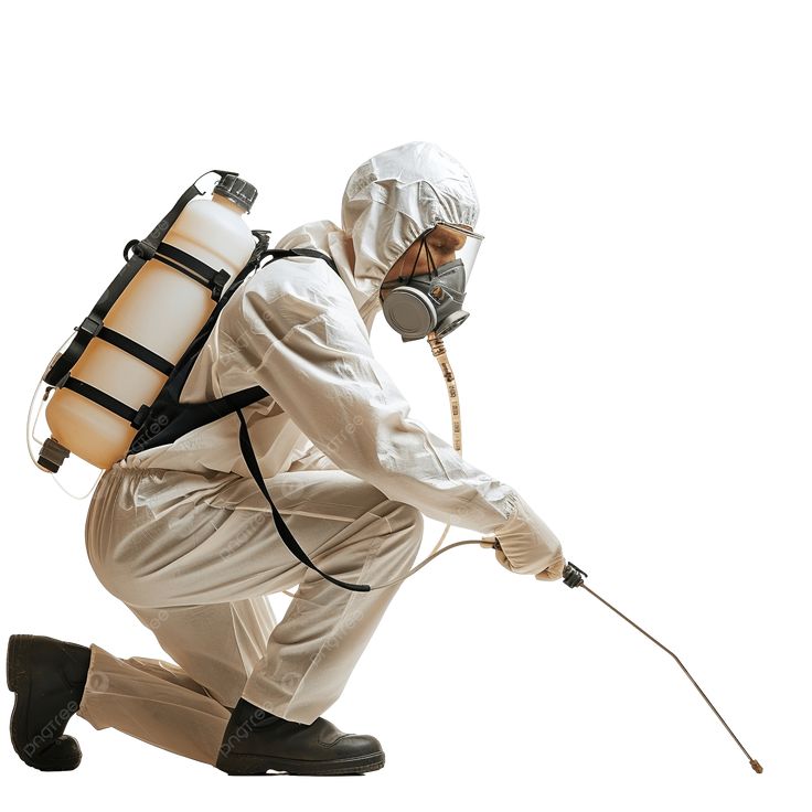 افضل شركة مكافحة حشرات ابوظبي