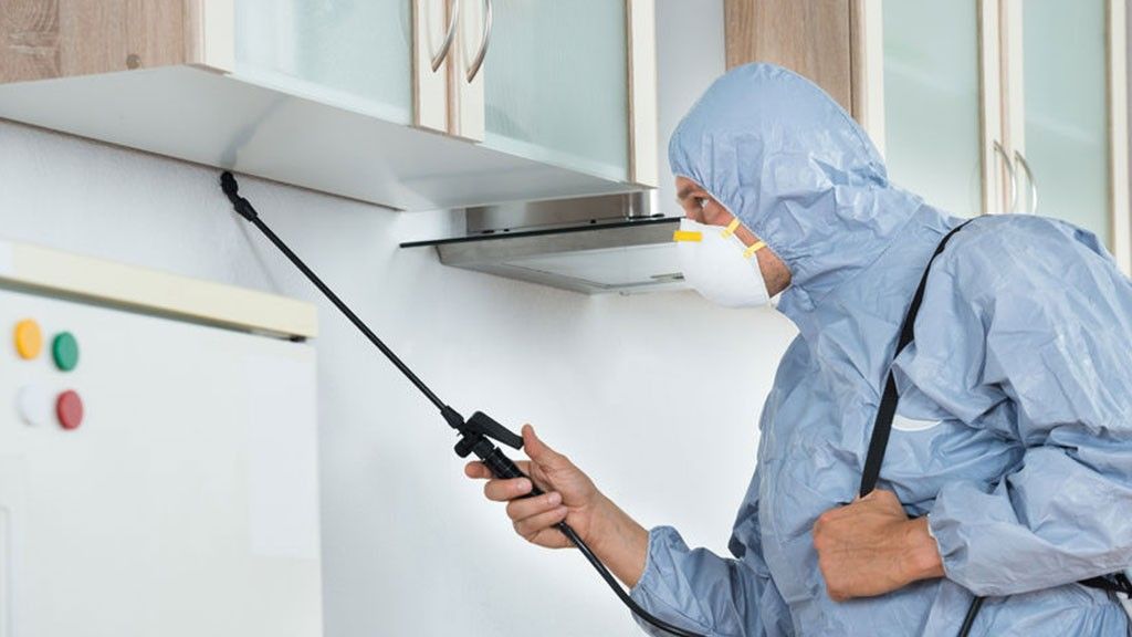 القضاء على البق في الامارات