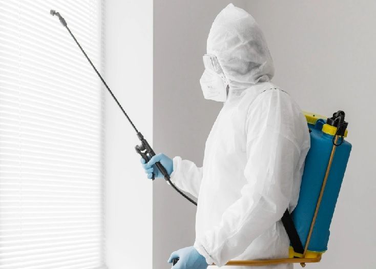 القضاء على البق في الشارقة