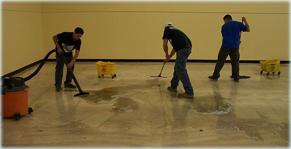 تنظيف الفلل بشكل فعال