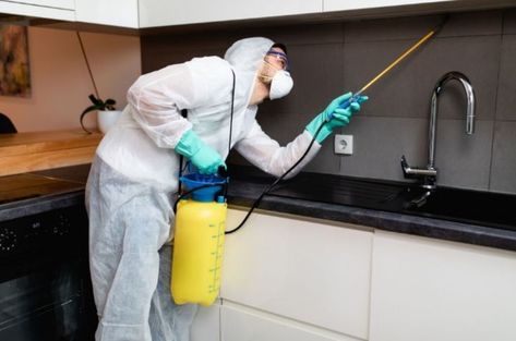 رش للبق في الامارات