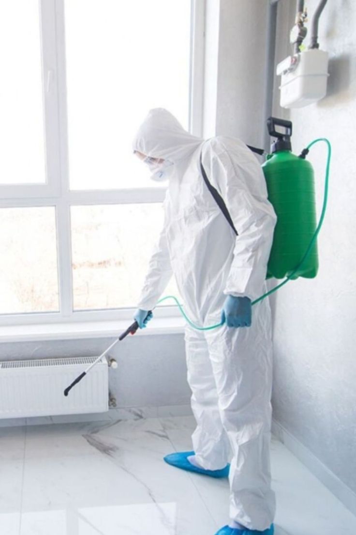 شركات مبيدات الحشرات ابوظبي