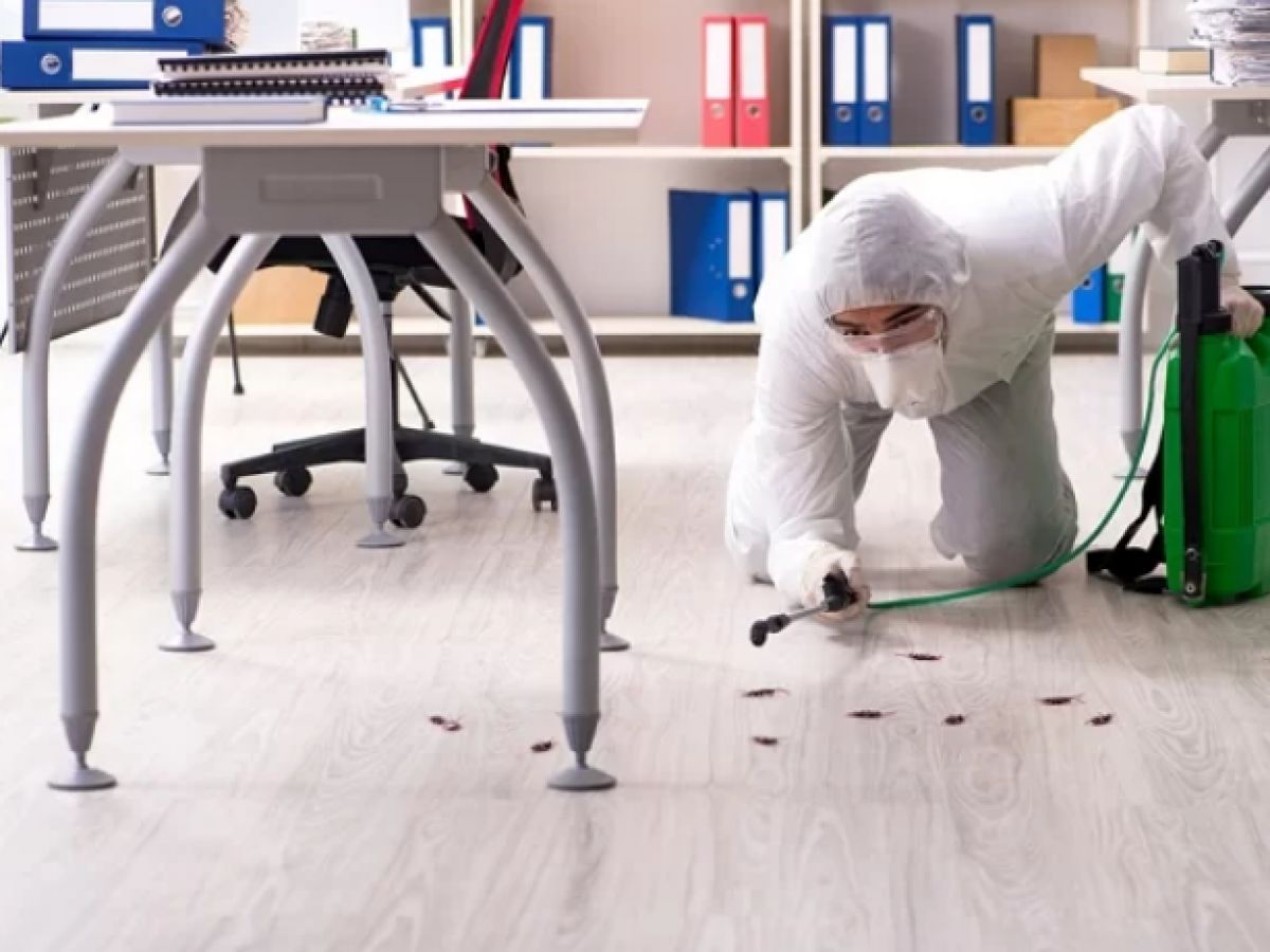 شركة بخ حشرات فى دبى