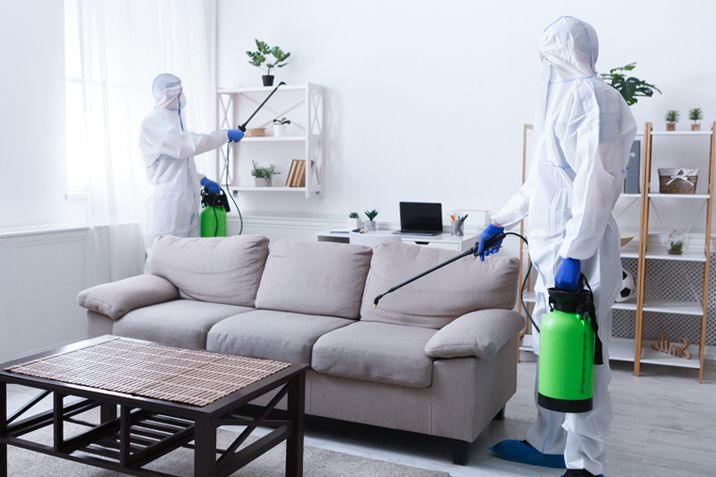 شركة حشرات ابوظبي