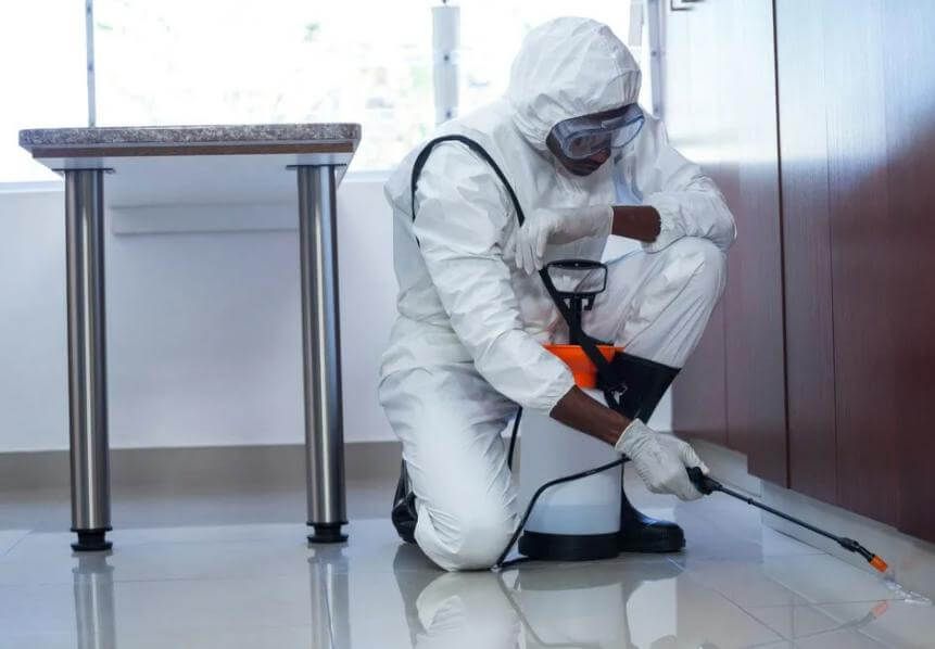 شركة رش صراصير