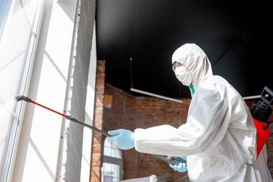 شركة مبيدات حشرية ابوظبي