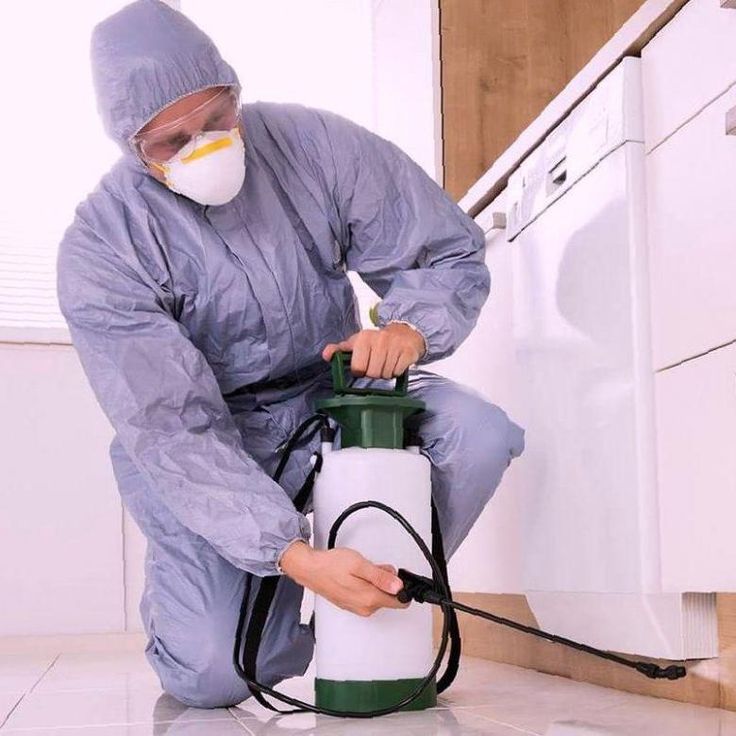 شركة مكافحة الارضة في أبو ظبي