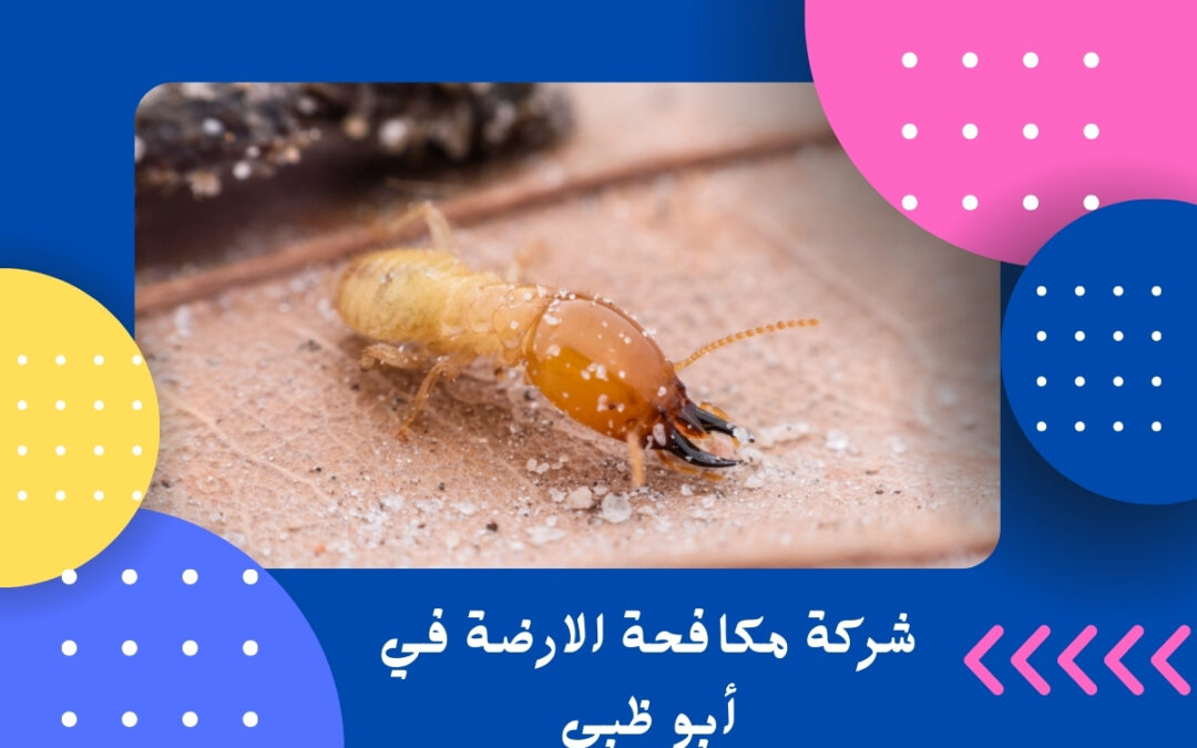 شركة مكافحة الارضة في أبو ظبي